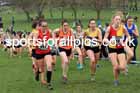 Senior Women, 2024 CAU Inter Counties Cross Country Champs., Wollaton Park, Nottingham. Photo: David T. Hewitson/Sports for All Pics